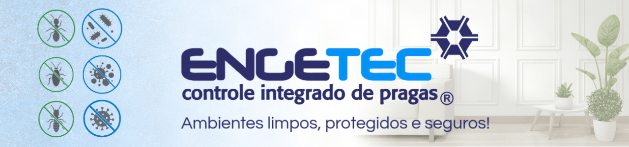 Banner 12 meses + app e site